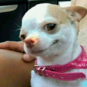 chososeyebrows avatar