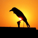 choumei-blog-blog avatar