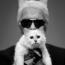 choupette-lagerfeld-blog avatar