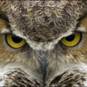 chris-hi-blog avatar