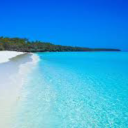 chris-nelkhael avatar