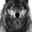 chris70551229l0 avatar