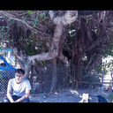 chrisaup-blog avatar