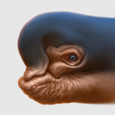 chriskotiesen avatar