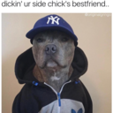 chrissvengali avatar