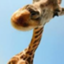 chrissyteenah avatar