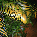 christa-cortez avatar