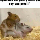 christiancin22 avatar