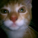 christianprayerblog avatar