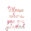 christina-keller avatar