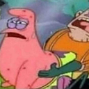 christina-phoenixowl avatar