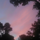 christine0129 avatar