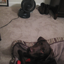 christinereg-blog-blog avatar