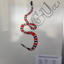 christinesfantasy avatar