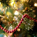 christmas-heaven avatar