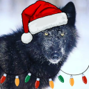 christmas-wolf avatar