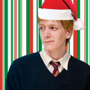 christmasattheweasleys avatar