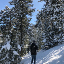 christmasdaily avatar