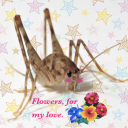 christopherbiggerhomo avatar