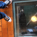 christopherrrrrr avatar