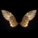 chromatic-angel avatar