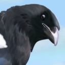 chromaticmagpie avatar