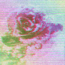 chromaticroses avatar