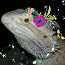 chromaticspacetime avatar