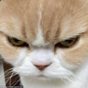 chrome-hearts0919 avatar