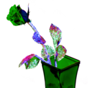 chrome-magnon avatar