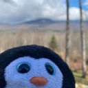 chronically-done avatar