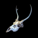 chronicallycari avatar