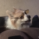 chronicbrownies avatar