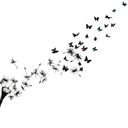 chronicescapism avatar