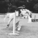 chronicles-of-the-a-circuit avatar