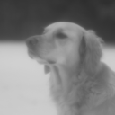 chronicunderachiiever avatar