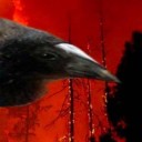 chronostutter avatar