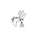 chrysanthemumble avatar