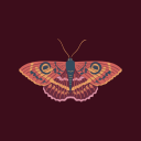 chthonicmoth avatar