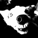 chthulhutongue avatar