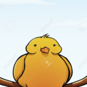 chubbird avatar