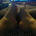 chubbyfatfeet avatar