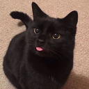 chubbymarshies avatar