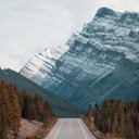 chubbys-world avatar