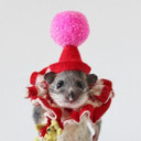 chuck-e-cheese-au avatar