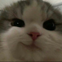 chuck-it-in-the-fuck-it-bucket avatar