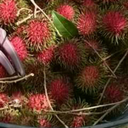 chuckyamy-blog avatar