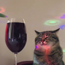 chudy-motylek-3 avatar