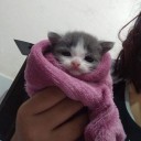 chummymoracoco avatar