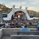 chungledown-bitch avatar